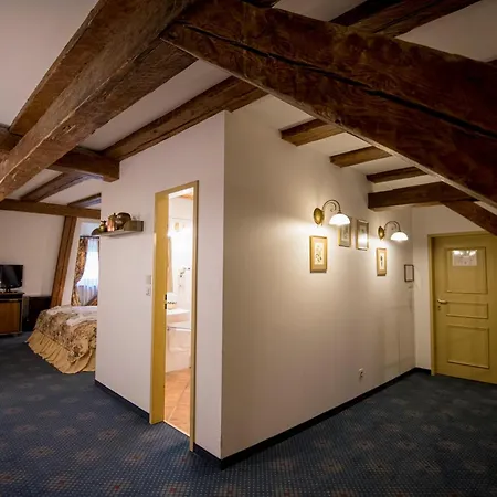 Gutenbergs Hotell 4*